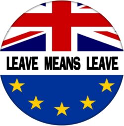 Leave Means Leave 59mm Pin Badge Brexit