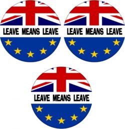 Leave Means Leave - 3 PACK - 59mm Badge Referendum Brexit European Union EU Vote