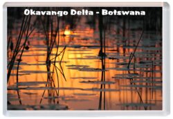 Okavango Delta - Botswana - Jumbo Fridge Magnet Souvenir Gift A2