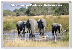Okavango Delta - Botswana - Jumbo Fridge Magnet Souvenir Gift A3