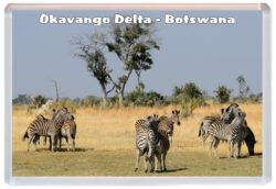 Okavango Delta - Botswana - Jumbo Fridge Magnet Souvenir Gift A4