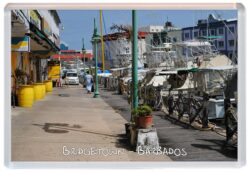 Ayia Napa - Cyprus - Jumbo Fridge Magnet Souvenir Gift Present M1