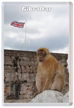 Gibraltar - Jumbo Fridge Magnet Souvenir Gift Present C3