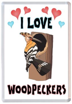 I Love Woodpeckers / Woodpecker - Jumbo Fridge Magnet Souvenir Gift Present