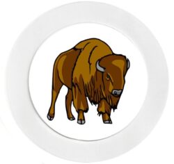 Buffalo - Car Tax Disc Permit Window Holder - Reusable