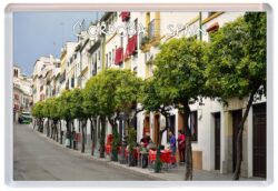 Cordoba - Spain - Jumbo Fridge Magnet Souvenir Gift Present M1