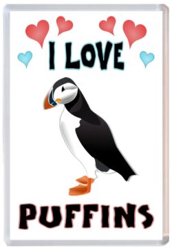 I Love Puffins / Puffin - Jumbo Fridge Magnet Souvenir Gift Present