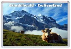 Grindelwald - Switzerland - Jumbo Fridge Magnet Souvenir Gift C4
