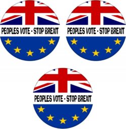 Peoples Vote - 3 PACK - 59mm Badge Referendum Brexit European Union EU Vote