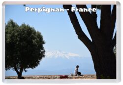 Perpignan - France - Jumbo Fridge Magnet Souvenir Gift Present E3