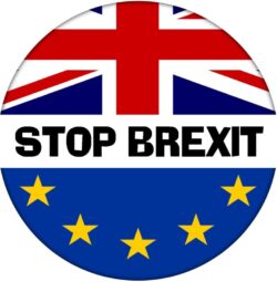Stop Brexit - 59mm Badge Referendum Brexit European Union EU Vote Remain Revoke Article 50