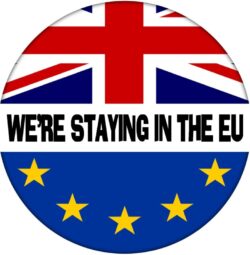 We're Staying in the EU - 59mm Badge Referendum Brexit European Union EU Vote Remain