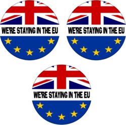 We're Staying in the EU - 3 PACK - 59mm Badge Referendum Brexit European Union EU Vote Remain