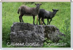 Chedder Gorge - Somerset - Jumbo Fridge Magnet Souvenir Gift Present Q3