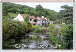 Chedder - Somerset - Jumbo Fridge Magnet Souvenir Gift Present Q4