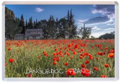 Languedoc - France - Jumbo Fridge Magnet Souvenir Gift Present J1