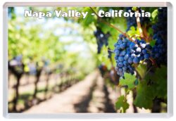 Napa Valley - California - USA - Jumbo Fridge Magnet Souvenir Gift Present G2