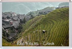 Rice Fields - China - Jumbo Fridge Magnet Souvenir Gift Present L1