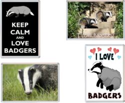 Badger / Badgers - 4 PACK - Jumbo Fridge Magnet Souvenir Gift Present
