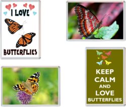 Butterfly / Butterflies - 4 PACK - Jumbo Fridge Magnet Souvenir Gift Present