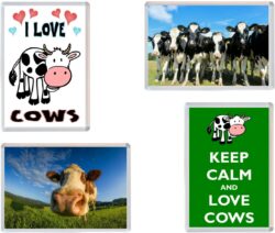 Cow / Cows - 4 PACK - Jumbo Fridge Magnet Souvenir Gift Present