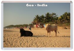 Goa - India - Jumbo Fridge Magnet Souvenir Gift Present T4