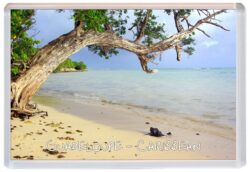 Guadeloupe - Caribbean - Jumbo Fridge Magnet Souvenir Gift Present N1