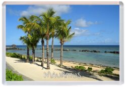 Mauritius - Africa - Jumbo Fridge Magnet Souvenir Present Gift S3