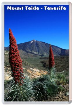 Mount Teide - Tenerife - Spain - Jumbo Fridge Magnet Souvenir Gift Present K1