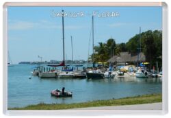 Sarasota - Florida - USA - Jumbo Fridge Magnet Souvenir Gift Present N1