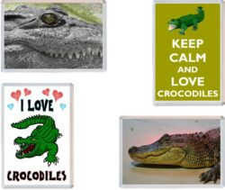 Crocodile / Crocodiles - 4 PACK - Jumbo Fridge Magnet Souvenir Gift Present