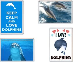 Dolphin / Dolphins - 4 PACK - Jumbo Fridge Magnet Souvenir Gift Present