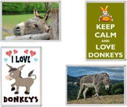 Donkey / Donkeys - 4 PACK - Jumbo Fridge Magnet Souvenir Gift Present