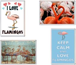 Flamingo / Flamingos - 4 PACK - Jumbo Fridge Magnet Souvenir Gift Present