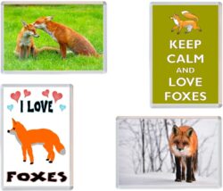 Fox / Foxes - 4 PACK - Jumbo Fridge Magnet Souvenir Gift Present
