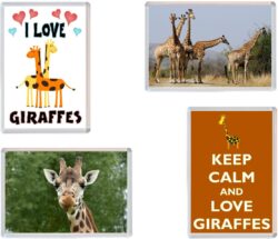 Giraffe / Giraffes - 4 PACK - Jumbo Fridge Magnet Souvenir Gift Present