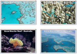 Great Barrier Reef - Australia - 4 PACK - Jumbo Fridge Magnet Souvenir Gift Present
