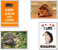 Hedgehog / Hedgehogs - 4 PACK - Jumbo Fridge Magnet Souvenir Gift Present