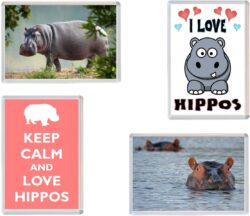 Hippo / Hippos / Hippopotamus - 4 PACK - Jumbo Fridge Magnet Souvenir Gift Present
