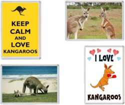 Kangaroo / Kangaroos - 4 PACK - Jumbo Fridge Magnet Souvenir Gift Present