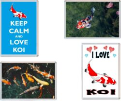 Koi - 4 PACK - Jumbo Fridge Magnet Souvenir Gift Present