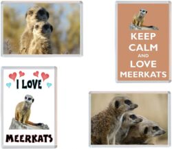 Meerkat / Meerkats - 4 PACK - Jumbo Fridge Magnet Souvenir Gift Present