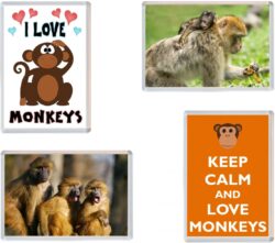 Monkey / Monkeys - 4 PACK - Jumbo Fridge Magnet Souvenir Gift Present