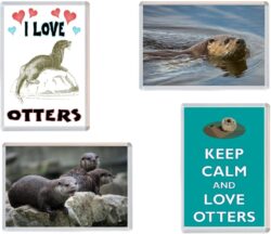 Otter / Otters - 4 PACK - Jumbo Fridge Magnet Souvenir Gift Present