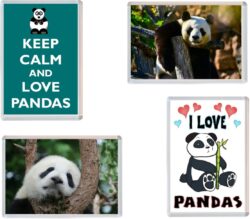Panda / Pandas - 4 PACK - Jumbo Fridge Magnet Souvenir Gift Present
