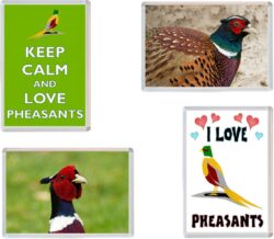 Pheasant / Phesants - 4 PACK - Jumbo Fridge Magnet Souvenir Gift Present