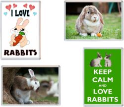 Rabbit / Rabbits - 4 PACK - Jumbo Fridge Magnet Souvenir Gift Present