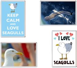 Seagull / Seagulls - 4 PACK - Jumbo Fridge Magnet Souvenir Gift Present