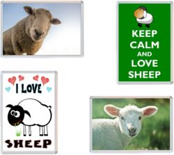 Sheep - 4 PACK - Jumbo Fridge Magnet Souvenir Gift Present