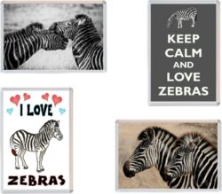 Zebra / Zebras - 4 PACK - Jumbo Fridge Magnet Souvenir Gift Present